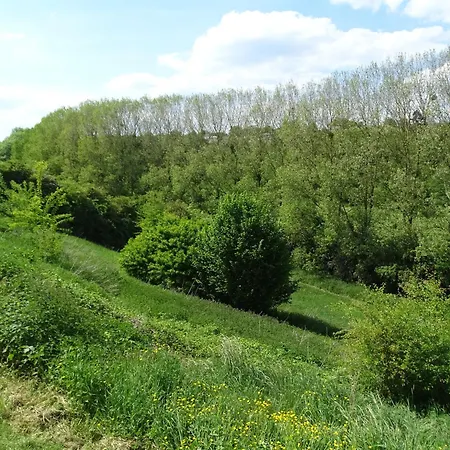 בית הארחה Au Temps De Pierre Gesves